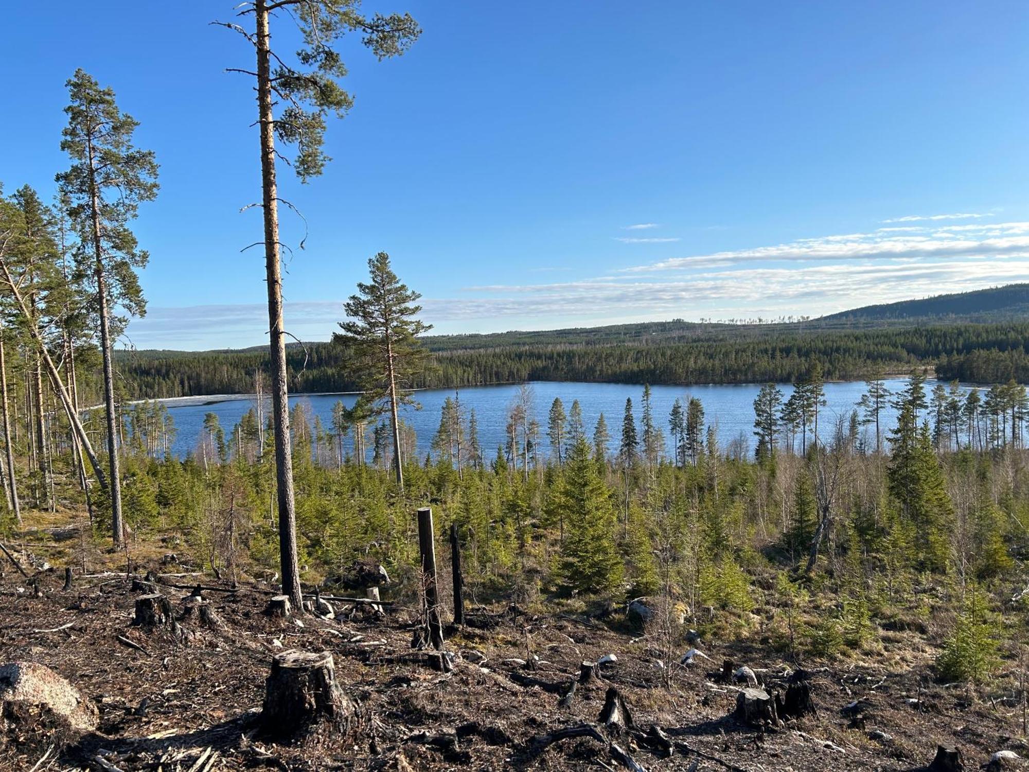 Hus I Ljuset Villa Näsåker Buitenkant foto